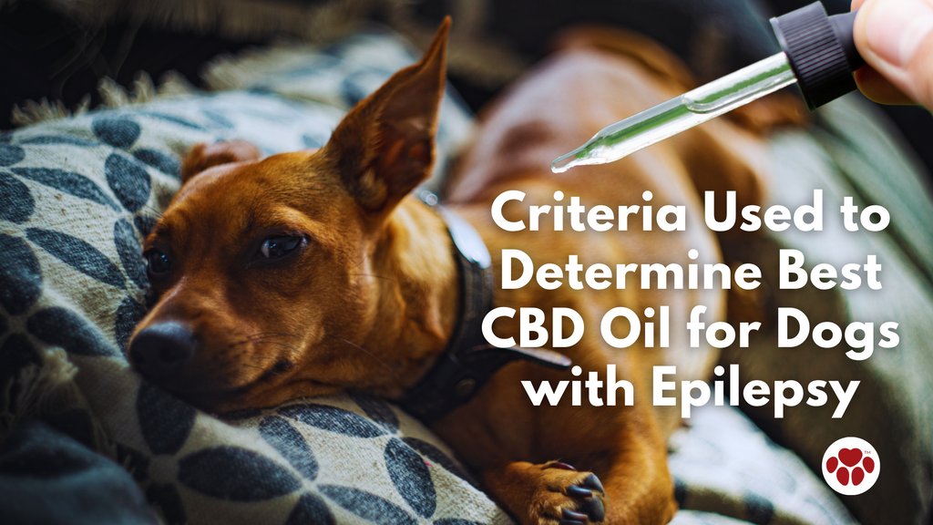 Criteria Used to Determine Best CBD Oil for Dogs with Epilepsy