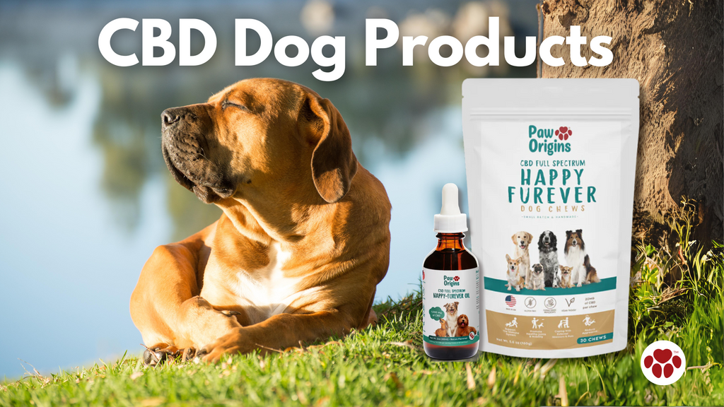 CBD Dog Products