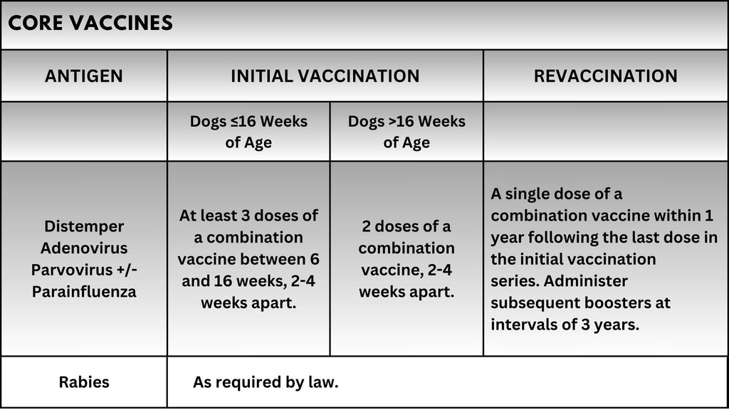 Core Vaccines for Dogs