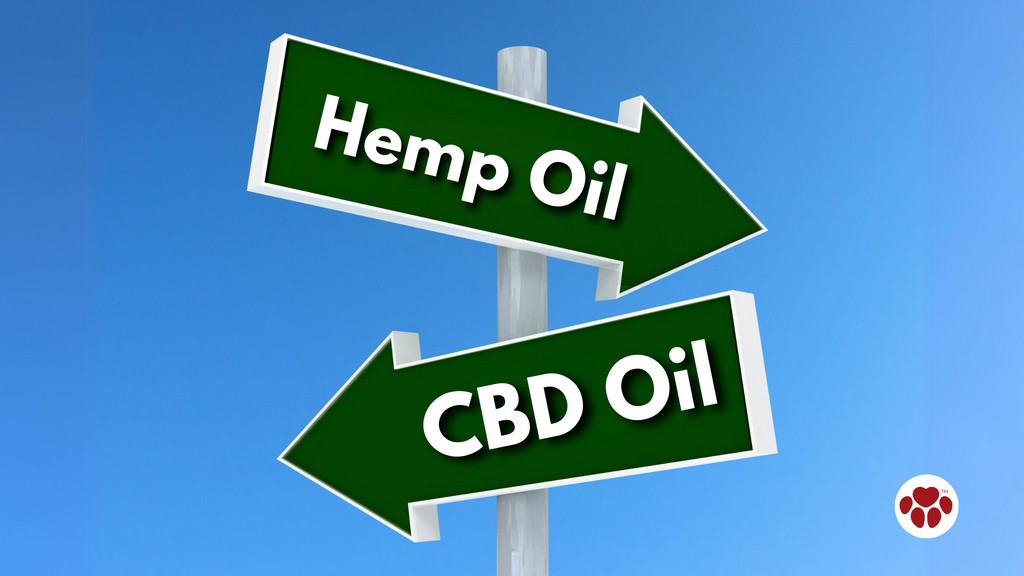 Difference Between CBD Oil and Hemp Oil