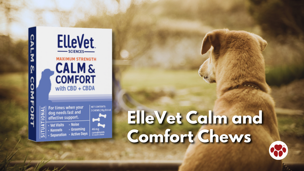 ElleVet Calm and Comfort Chews
