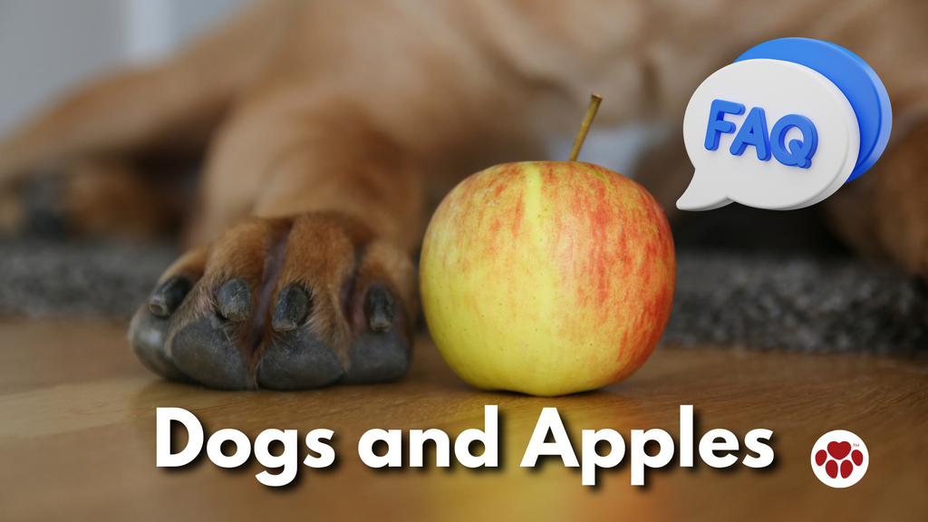 FAQs on Dogs and Apples