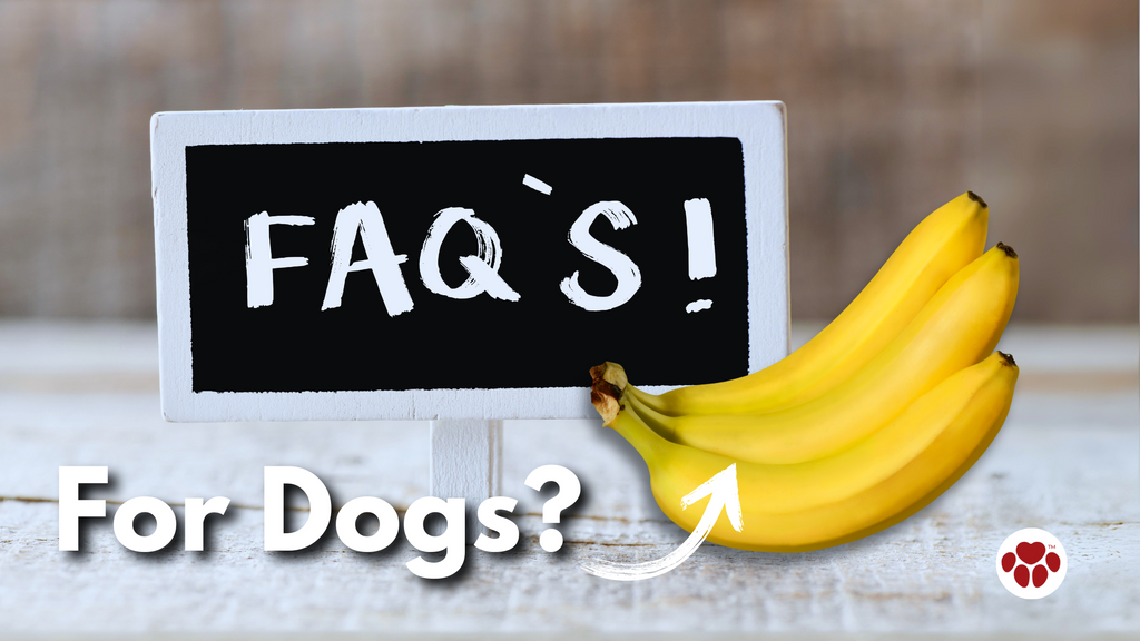 Frequently Asked Questions on Banana for Dogs