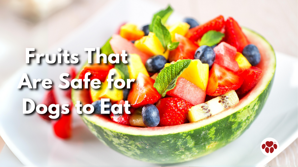 Fruits That Are Safe for Dogs to Eat