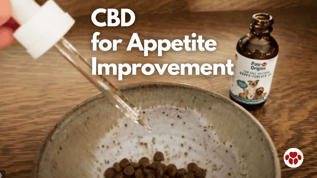 CBD for Appetite Improvement