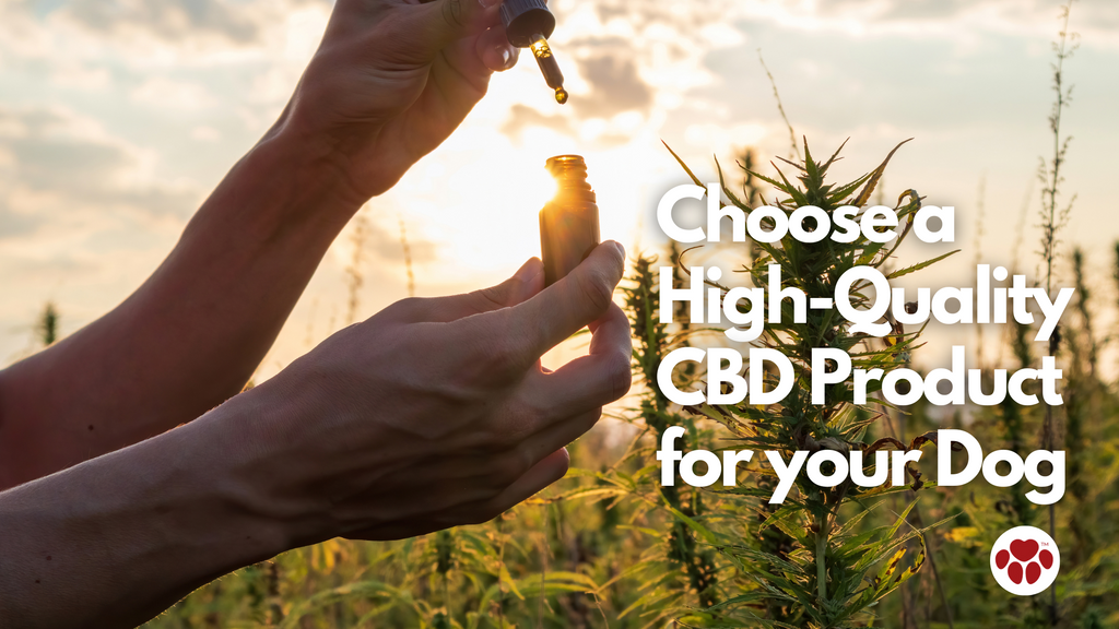 high quality CBD oil