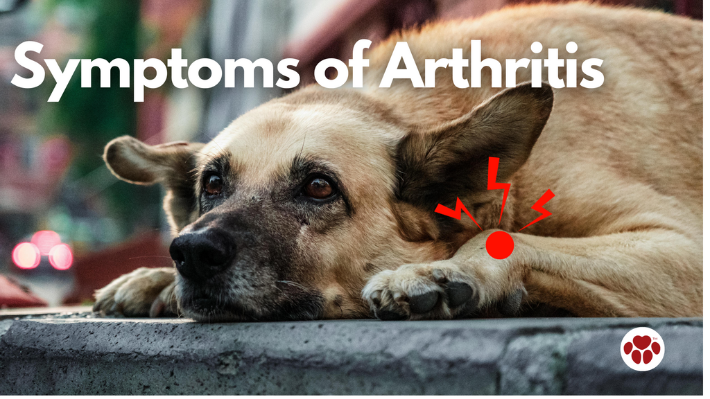 symptoms of arthritis