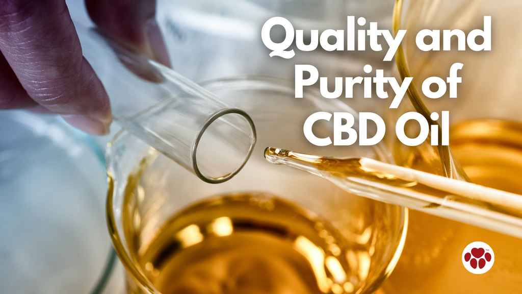 quality and purity of CBD Oil