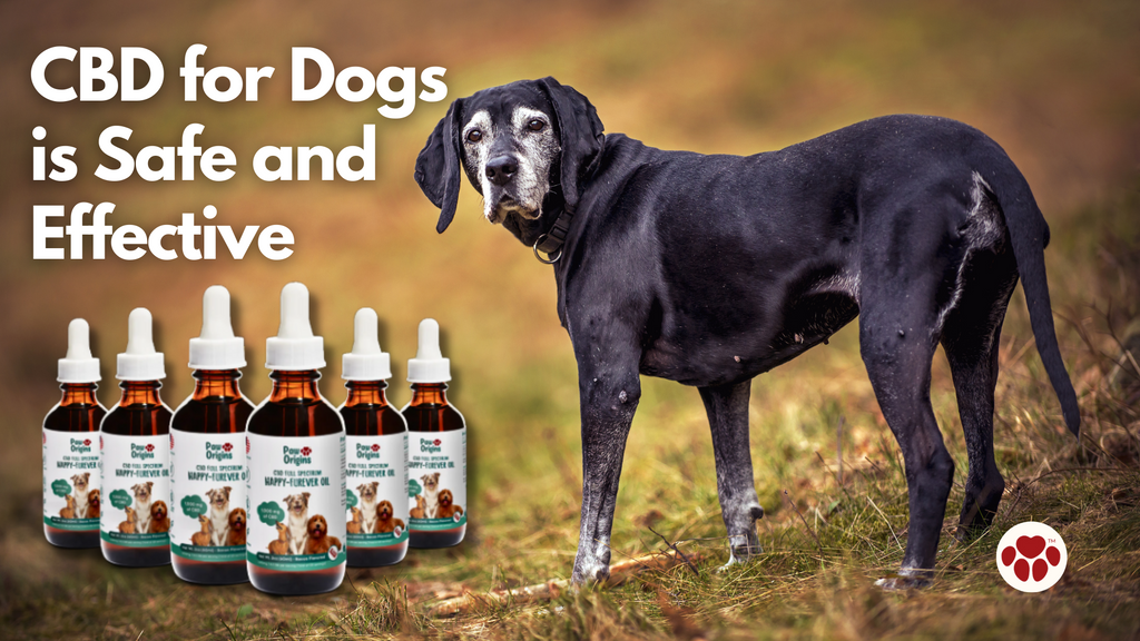 Happy-Furever™ Oil and a dog in a field