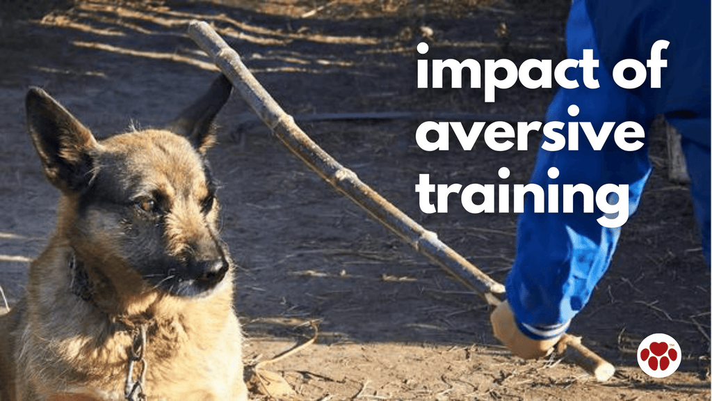 aversive training