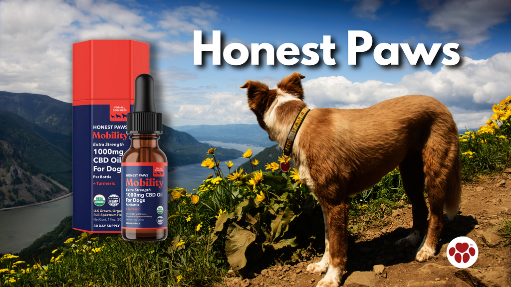 Honest Paws 1000mg CBD Oil for Dogs - Mobility