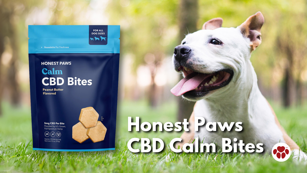 Honest Paws CBD Calm Bites