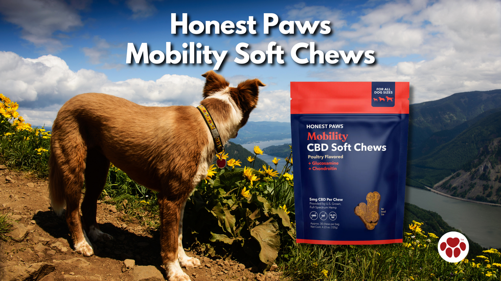 Honest Paws Mobility Soft Chews