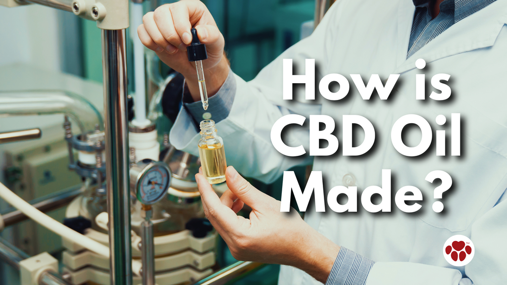 How is CBD Oil Made