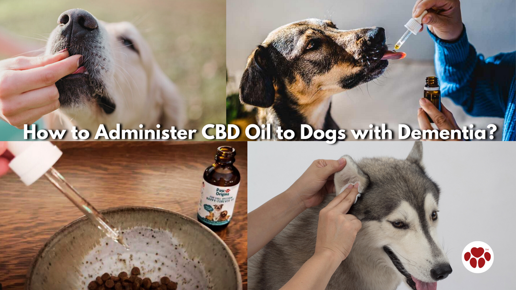ways of administering CBD Oil to dogs with dementia