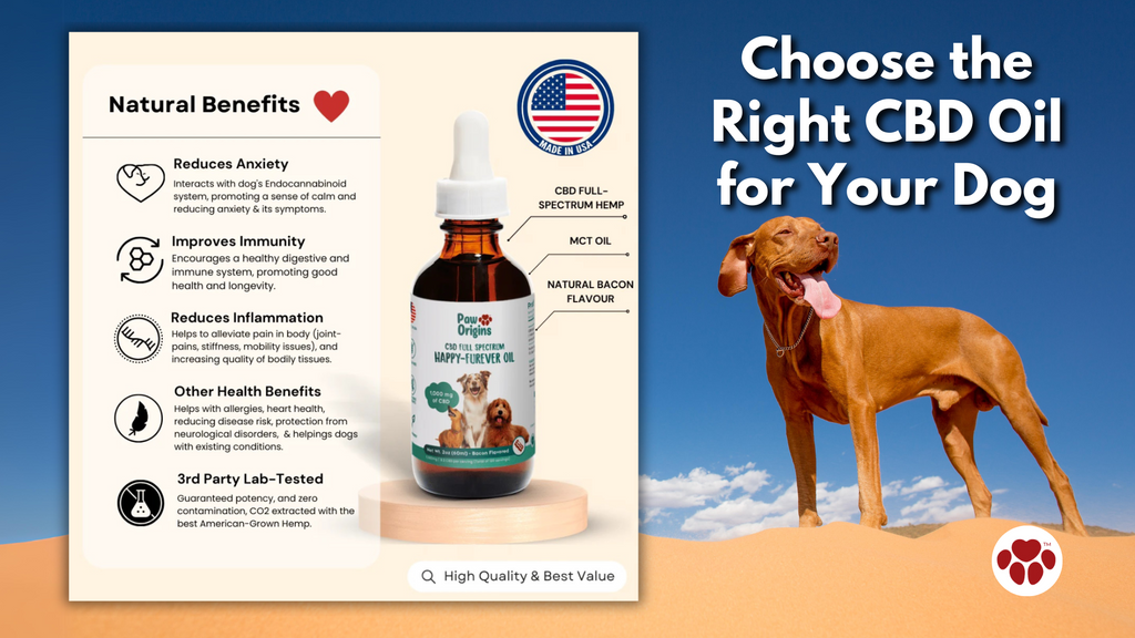 How to Choose the Right CBD Oil for Your Dog