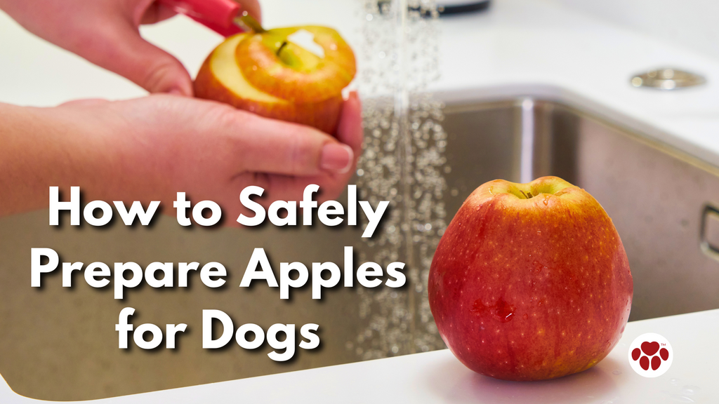 How to Safely Prepare Apples for Dogs