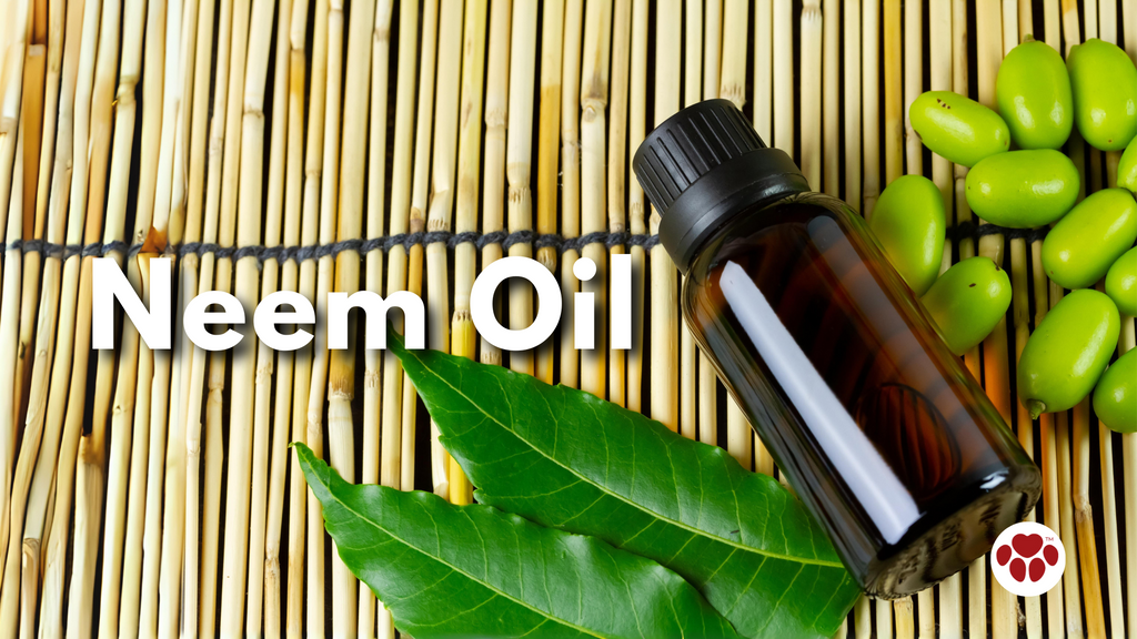 Neem Oil