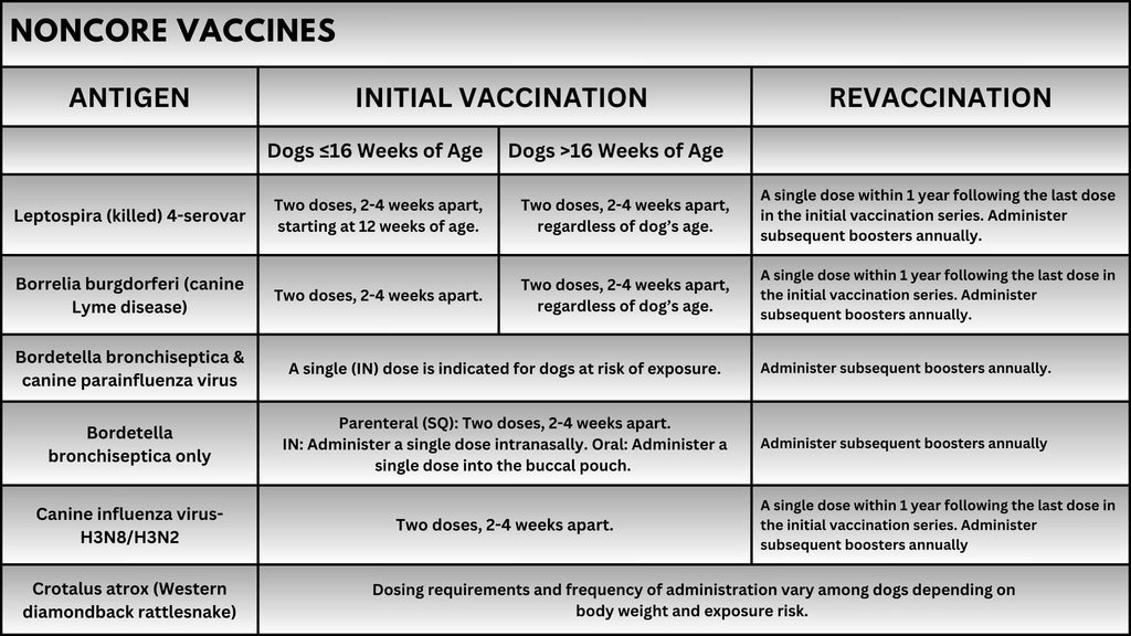 NonCore Vaccines for Dogs