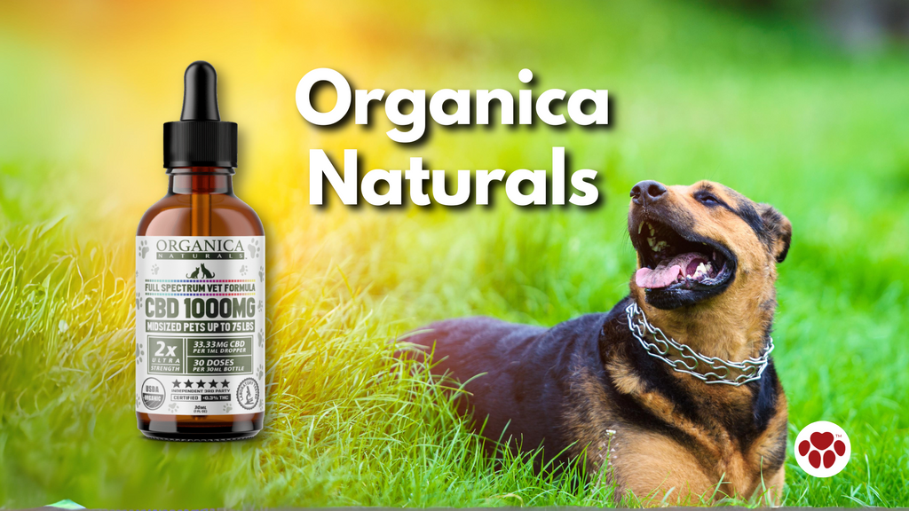 Organica Naturals Full Spectrum CBD Oil For Pets