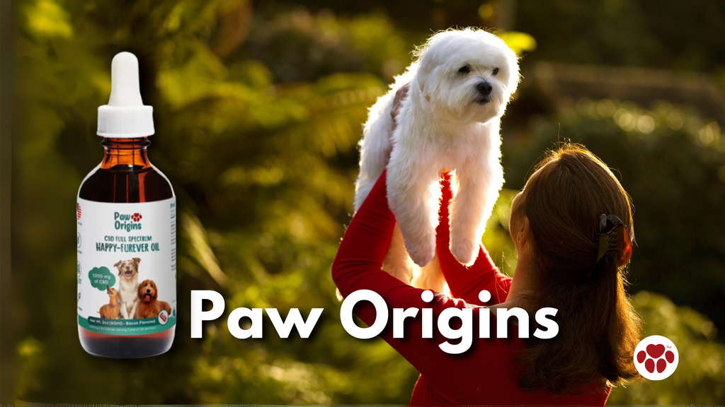 Paw Origins Happy-Furever™ Full Spectrum (1,000mg) CBD Oil