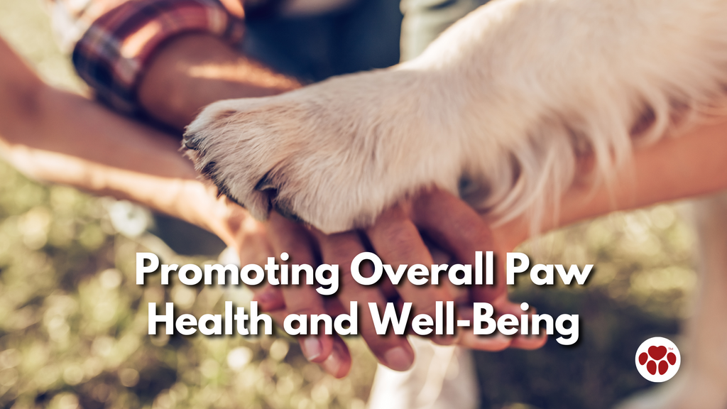 Promoting Overall Paw Health and Well-being