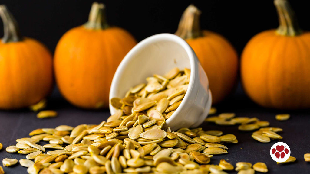 Pumpkin seeds