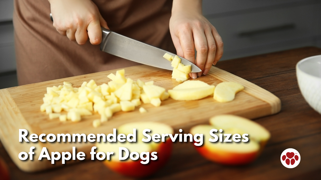 Recommended Serving Sizes for Dogs