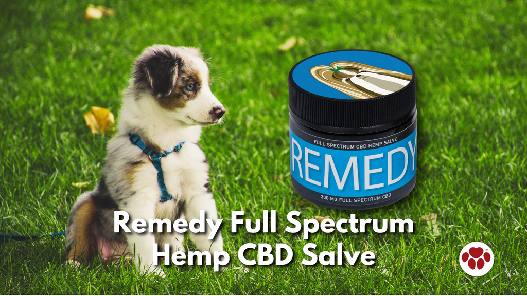 Remedy Full Spectrum Hemp CBD Salve