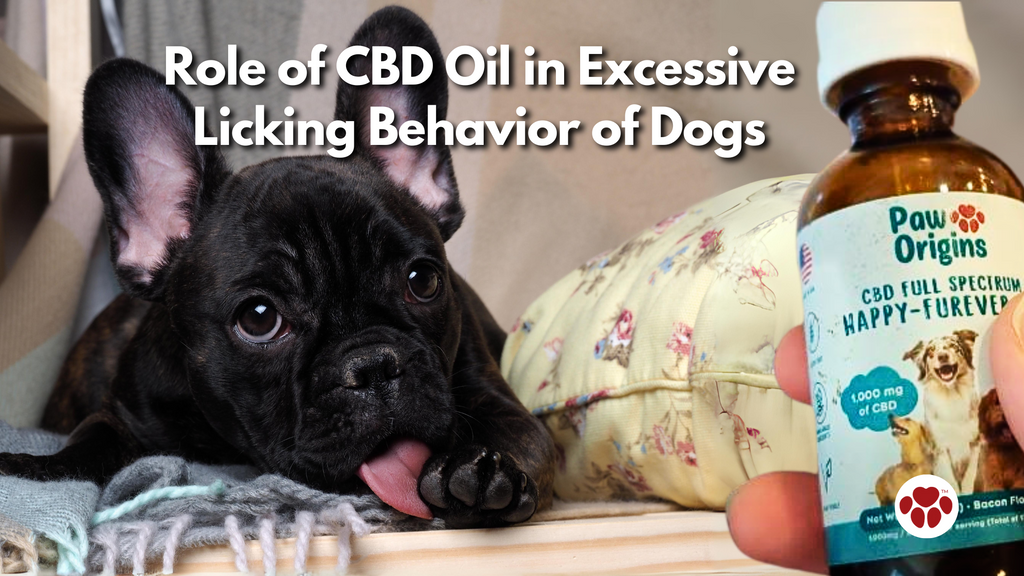 Role of CBD Oil in Excessive Licking Behavior of Dogs
