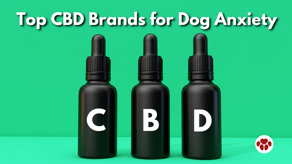 Top CBD Brands for Dog Anxiety