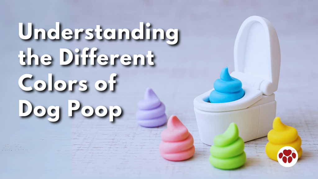 Understanding the Different Colors of Dog Poop