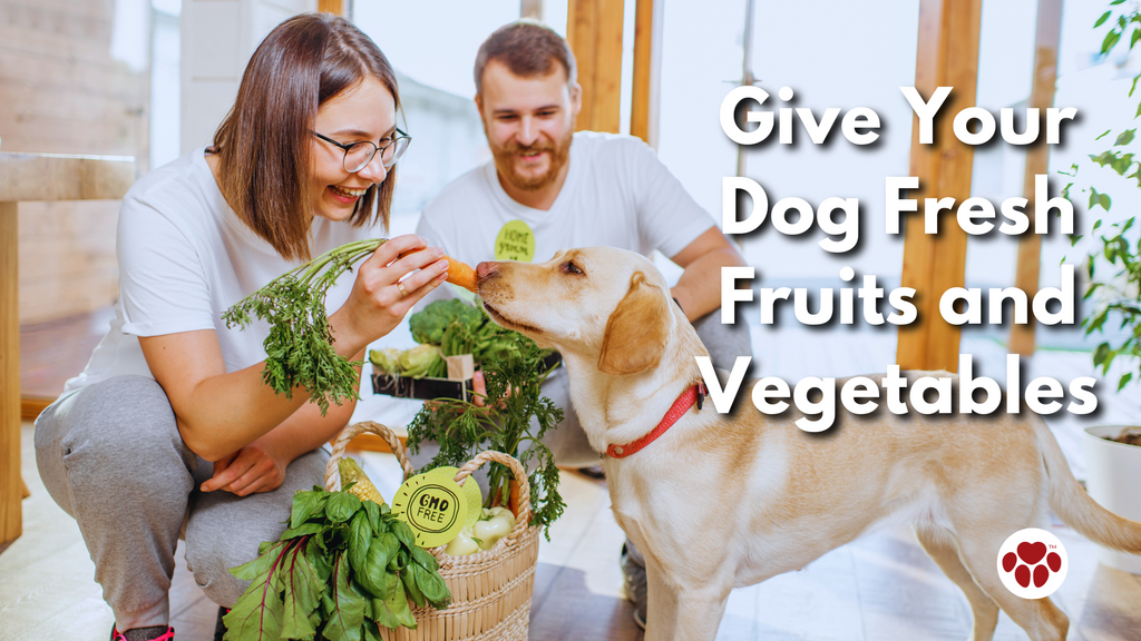 Give Your Dog Fresh Fruits and Vegetables