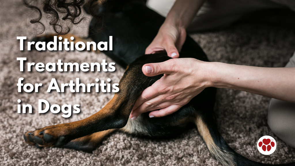 Traditional Treatments for Arthritis in Dogs