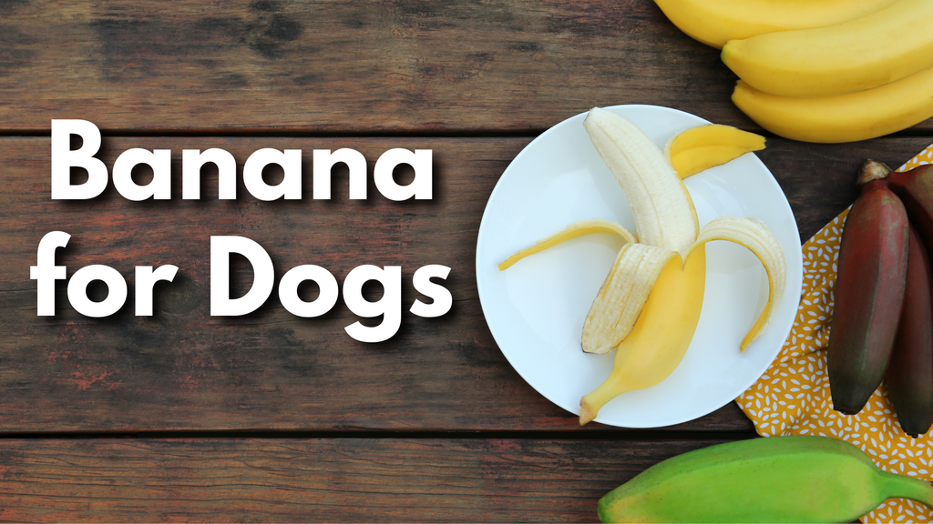 Banana  for Dogs