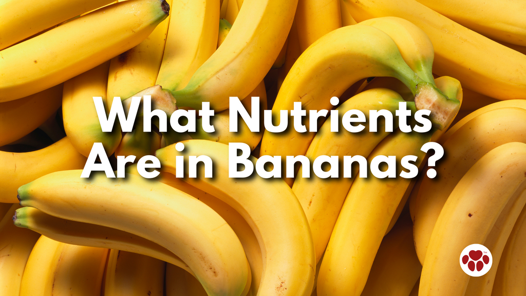 What Nutrients  Are in Bananas?