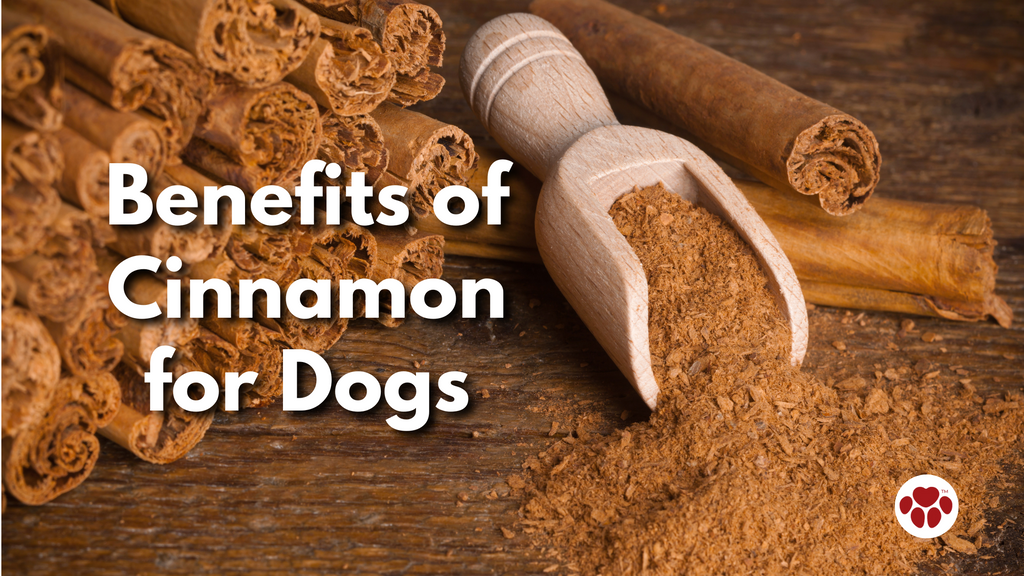 Benefits of  Cinnamon  for Dogs