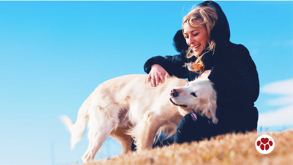 a dog and owner bonding