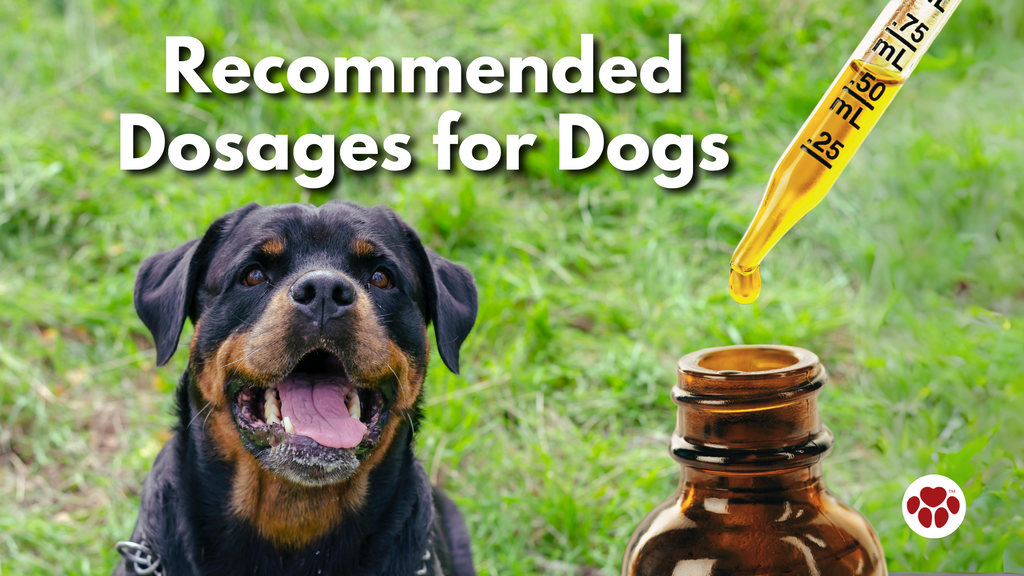 Recommended Dosages for Dogs