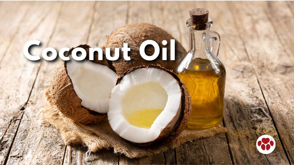 Coconut Oil