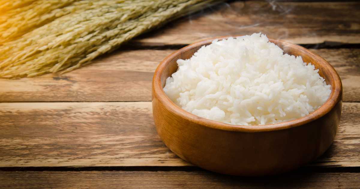 how much white rice should i feed my dog