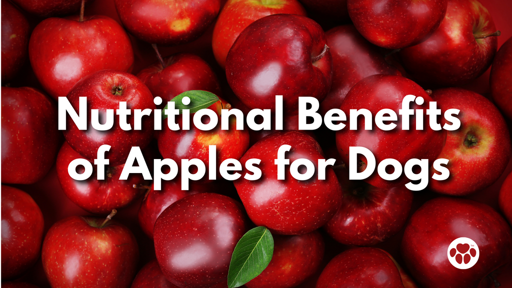 Nutritional Benefits of Apples for Dogs