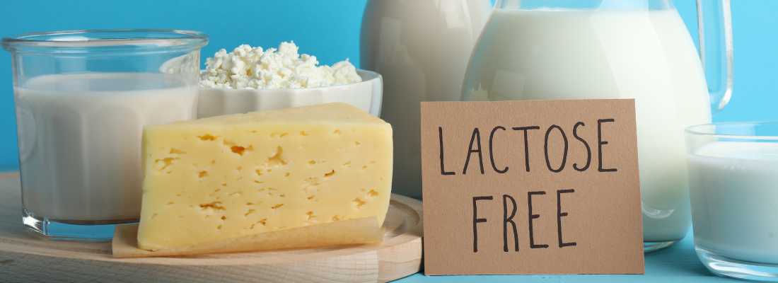 lactose- free cheese