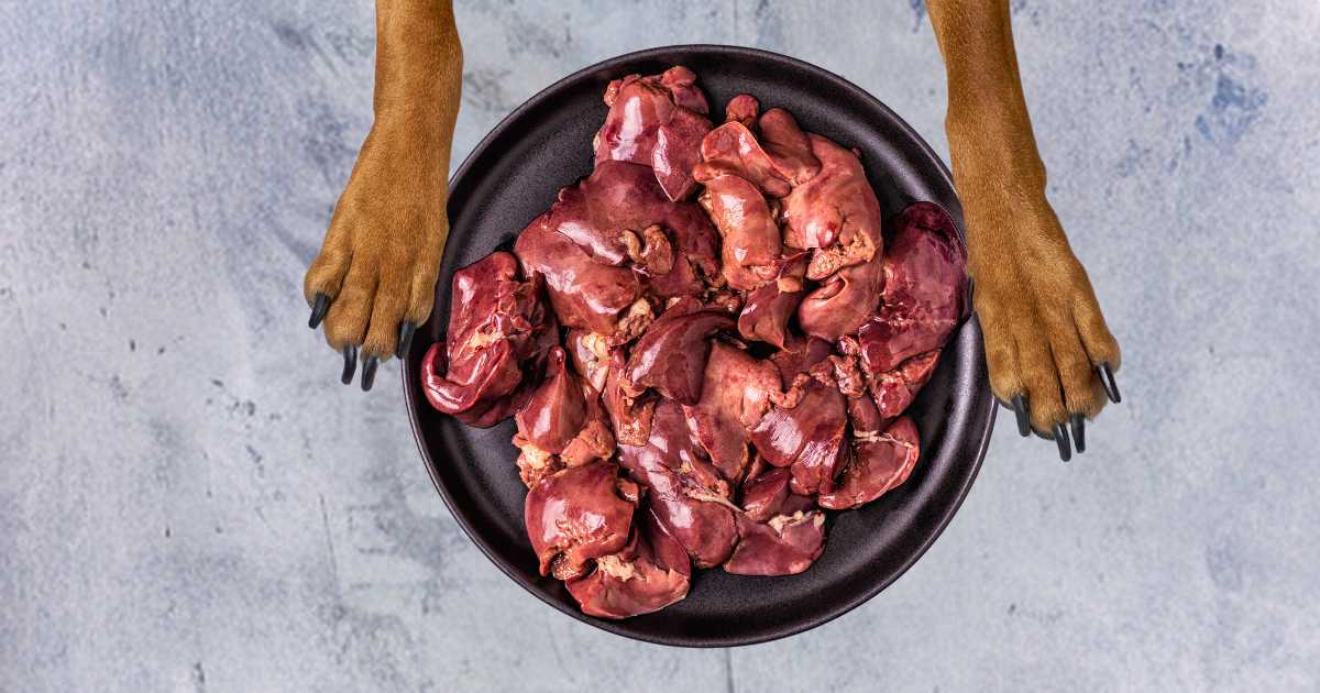 whole prey diet for dog