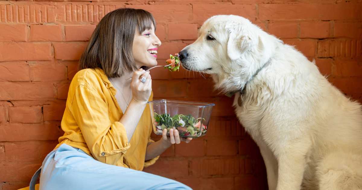 A Woman Feeding Her Dog