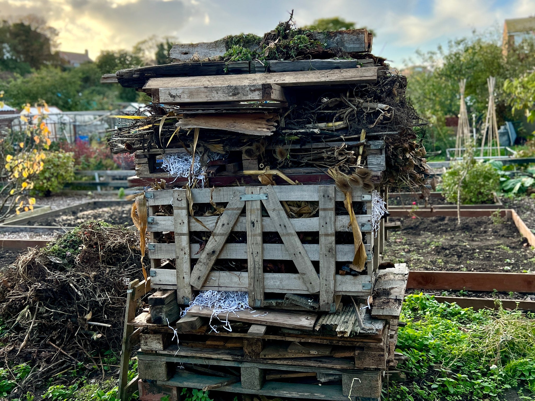 Insect hotel or bonfire?
