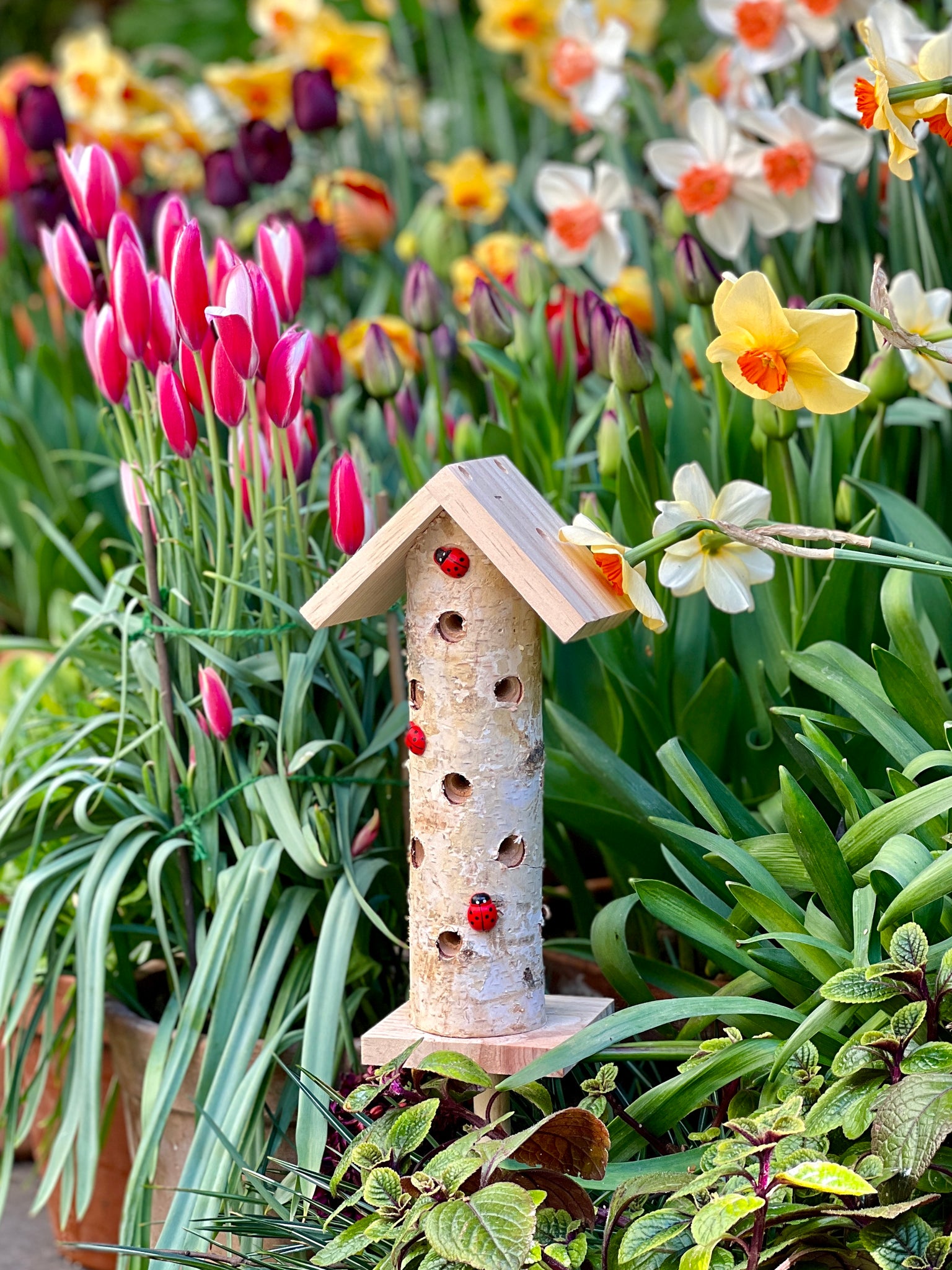 Ladybird tower, Dan Cooper Garden