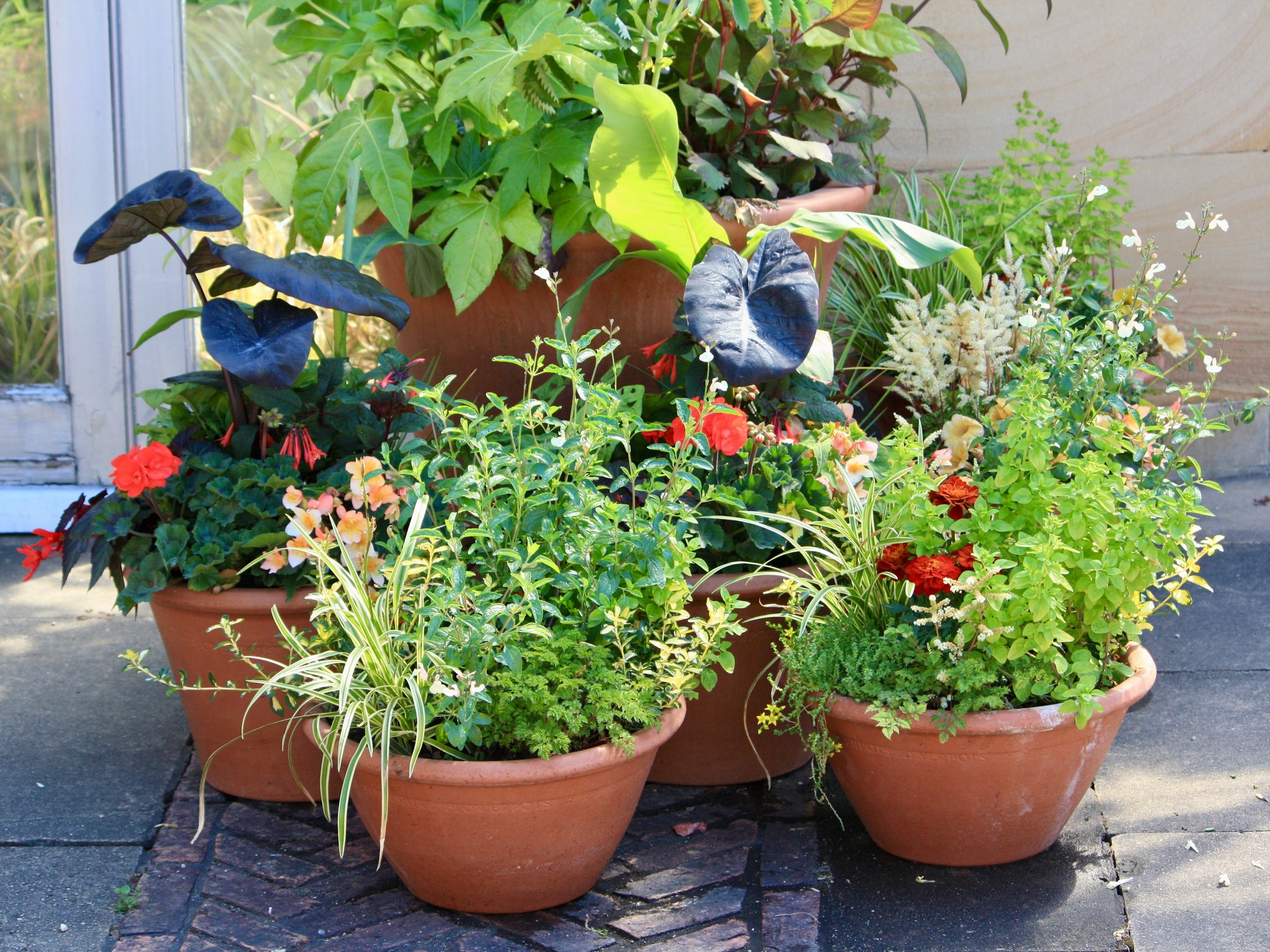 Terracotta pots with summer planting