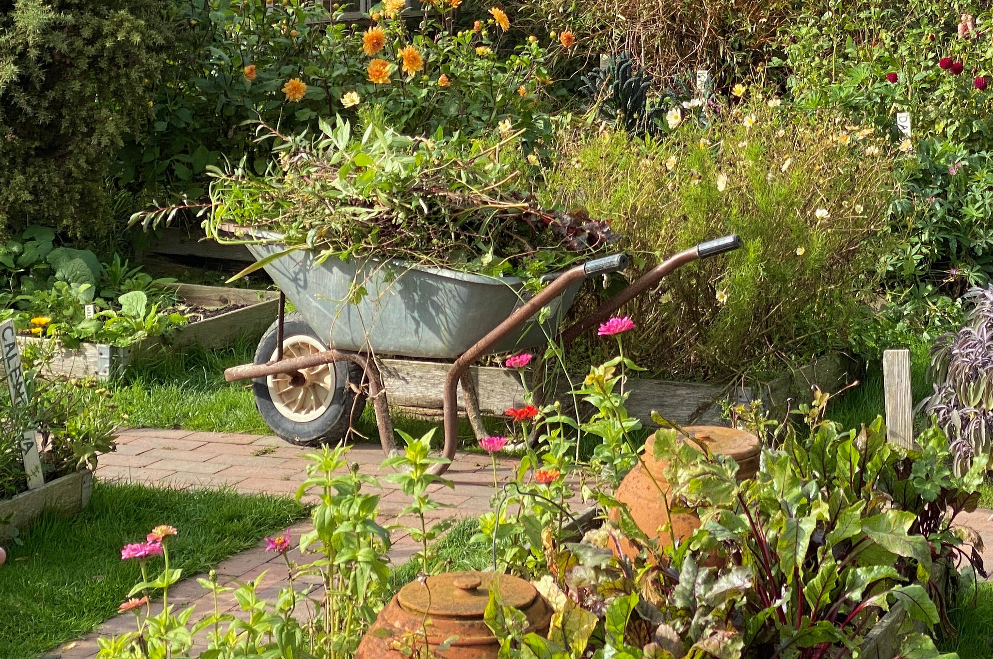 Wheelbarrow in kitchen garden