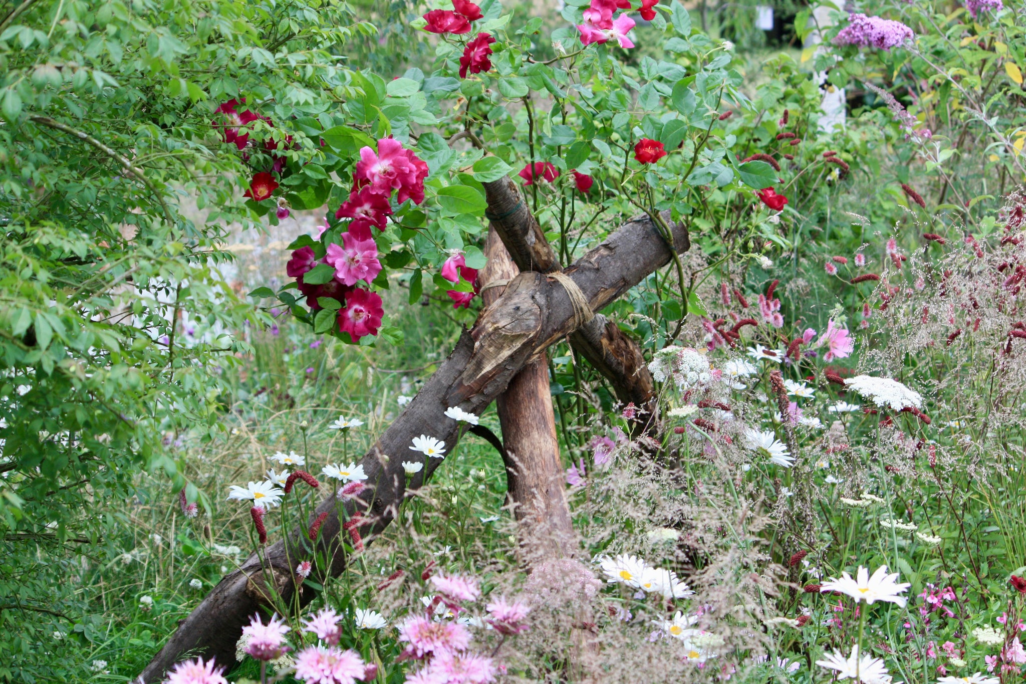 An alternative log stack with roses and pollinator-friendly flowers